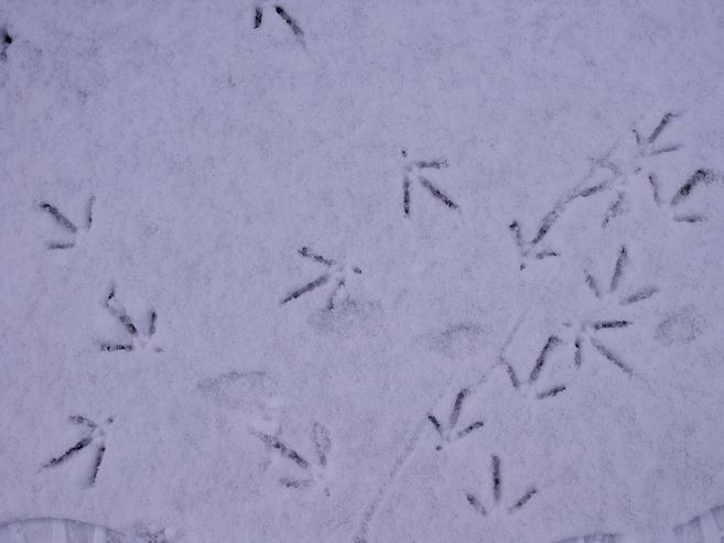 From IrelandInPicture.net